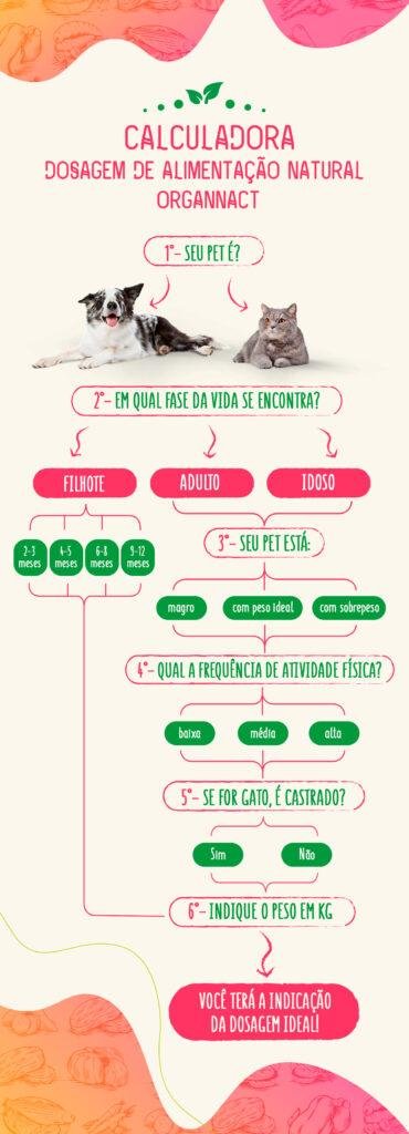 Mudanças Estranhas na Alimentação do Seu Pet