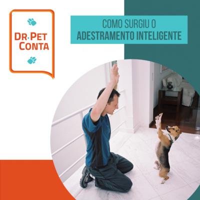 Comportamento Anormal: O Que​ Fazer?