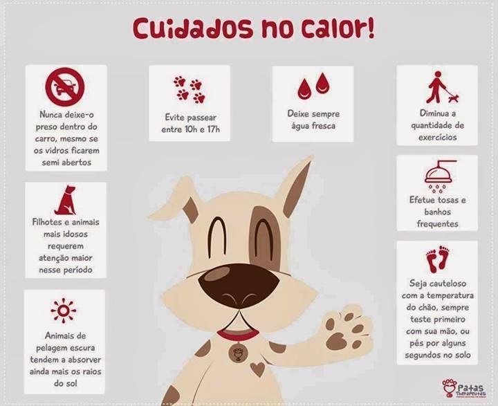 Como Prevenir Doenças com Cuidados Simples